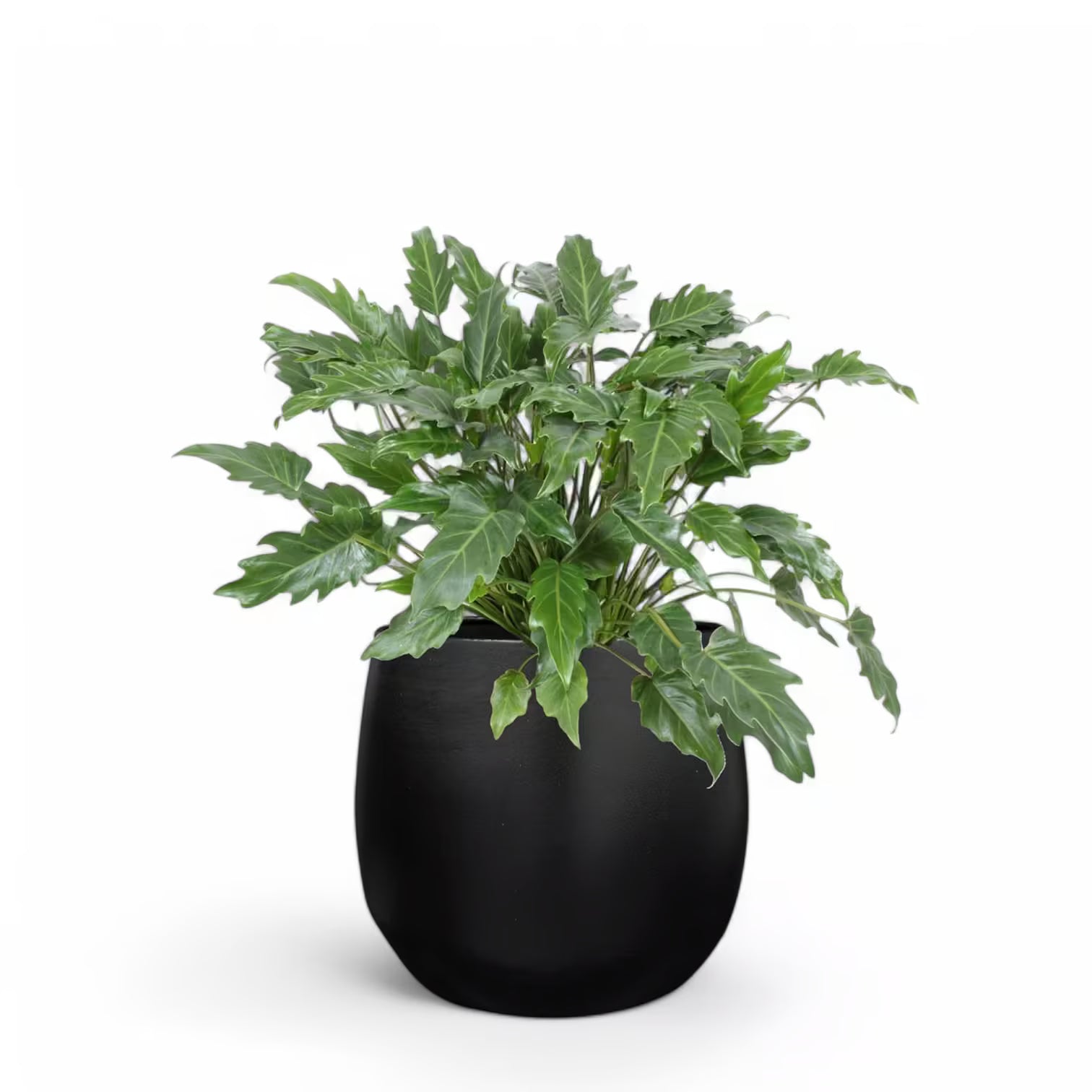 Planter 'Stijn' on white background, product photo 12.