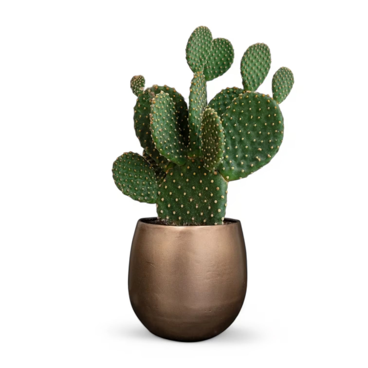 Planter 'Stijn' on white background, product photo 13.