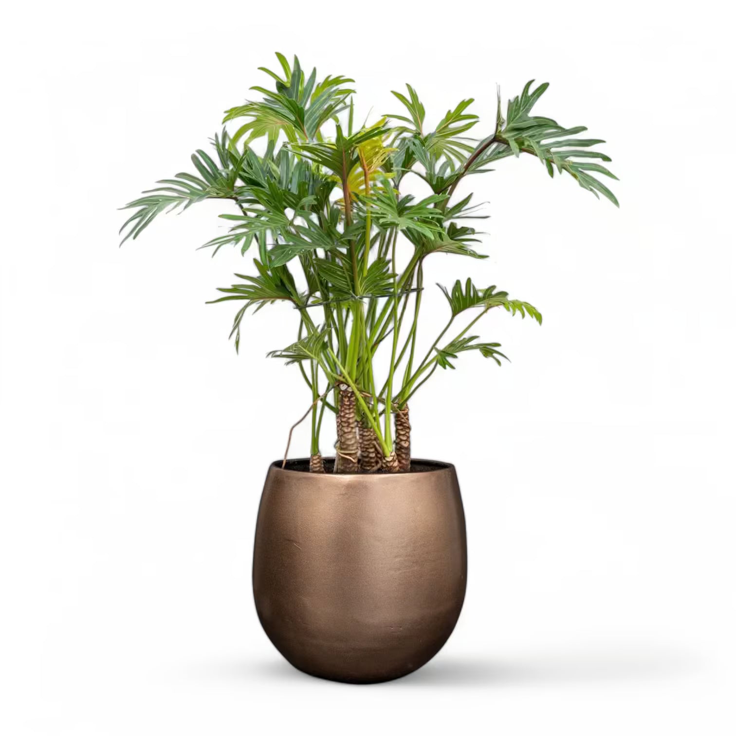 Planter 'Stijn' on white background, product photo 15.