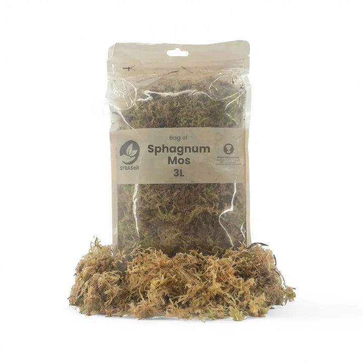Sphagnum moss on white background, product photo 2.