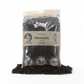 Alocasia-Pflanzsubstrat – Hauptproduktfoto vor weißem Hintergrund.