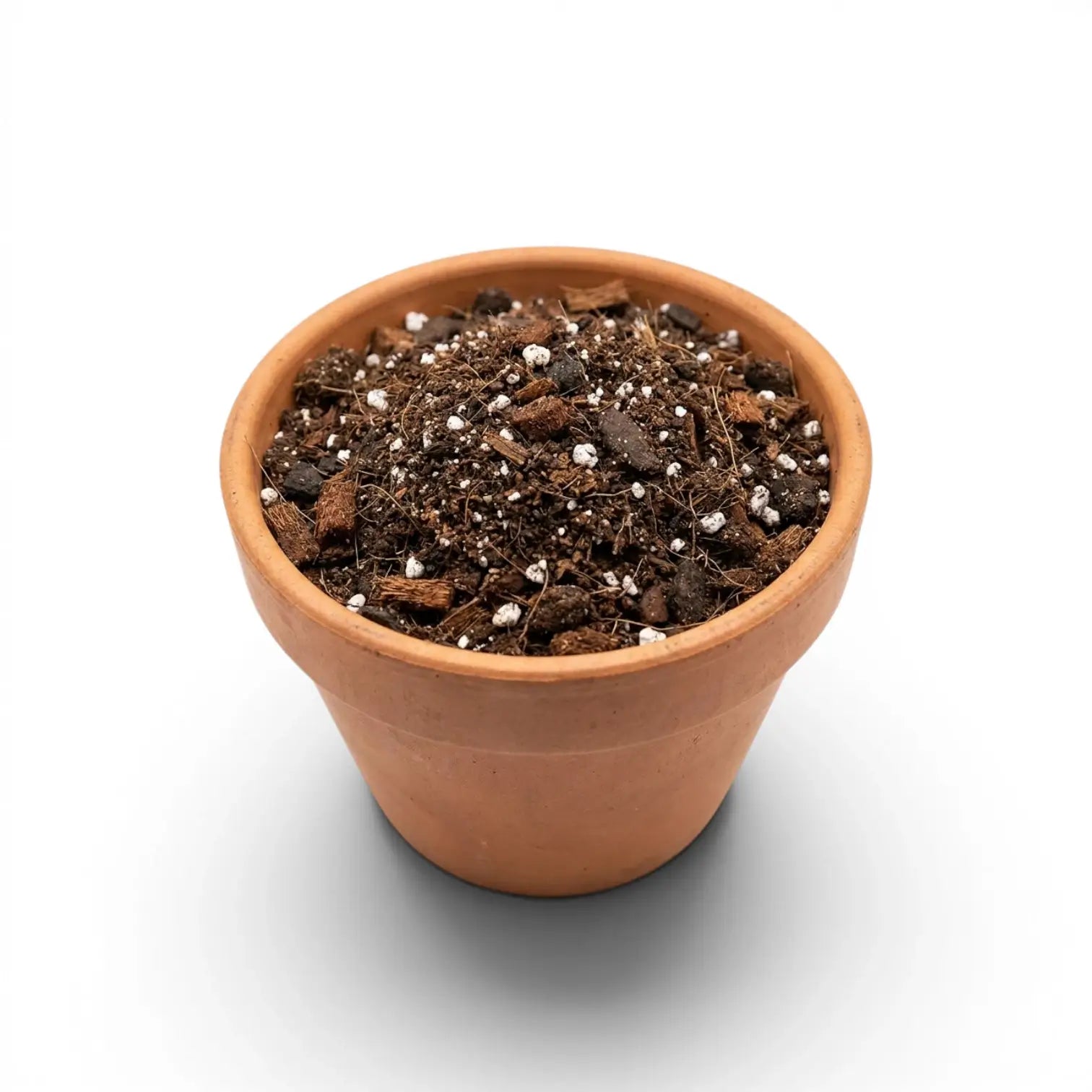 Terracotta pot filled with Alocasia potting mix on a white background