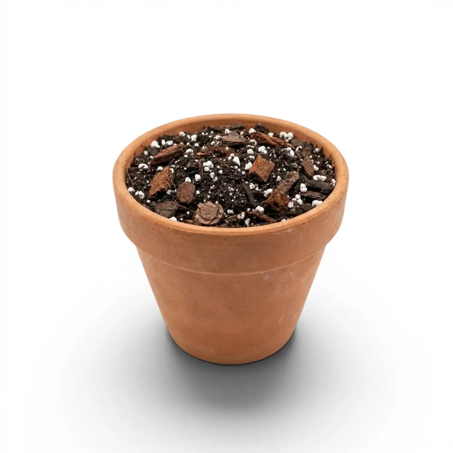 Terracotta pot with Anthurium potting mix on a white background