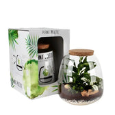 Basic Plant Puzzle Set vor weißem Hintergrund, Produktfoto 4.