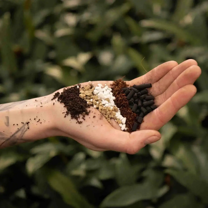 Bonsai-Substratmischung auf weißem Hintergrund, Produktfoto 2.