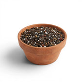 Terracotta pot filled with bonsai potting mix  on a white background