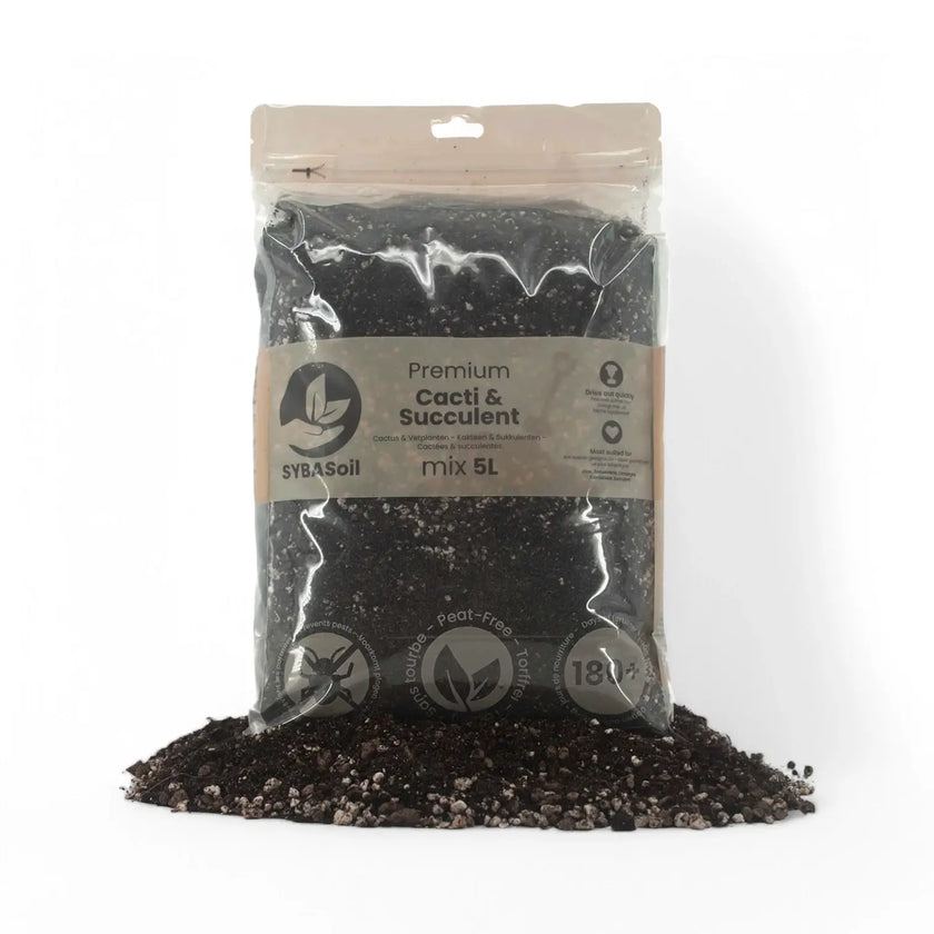 Kakteen- & Sukkulenten-Substratmischung – Haupt-Produktfoto auf weißem Hintergrund.
