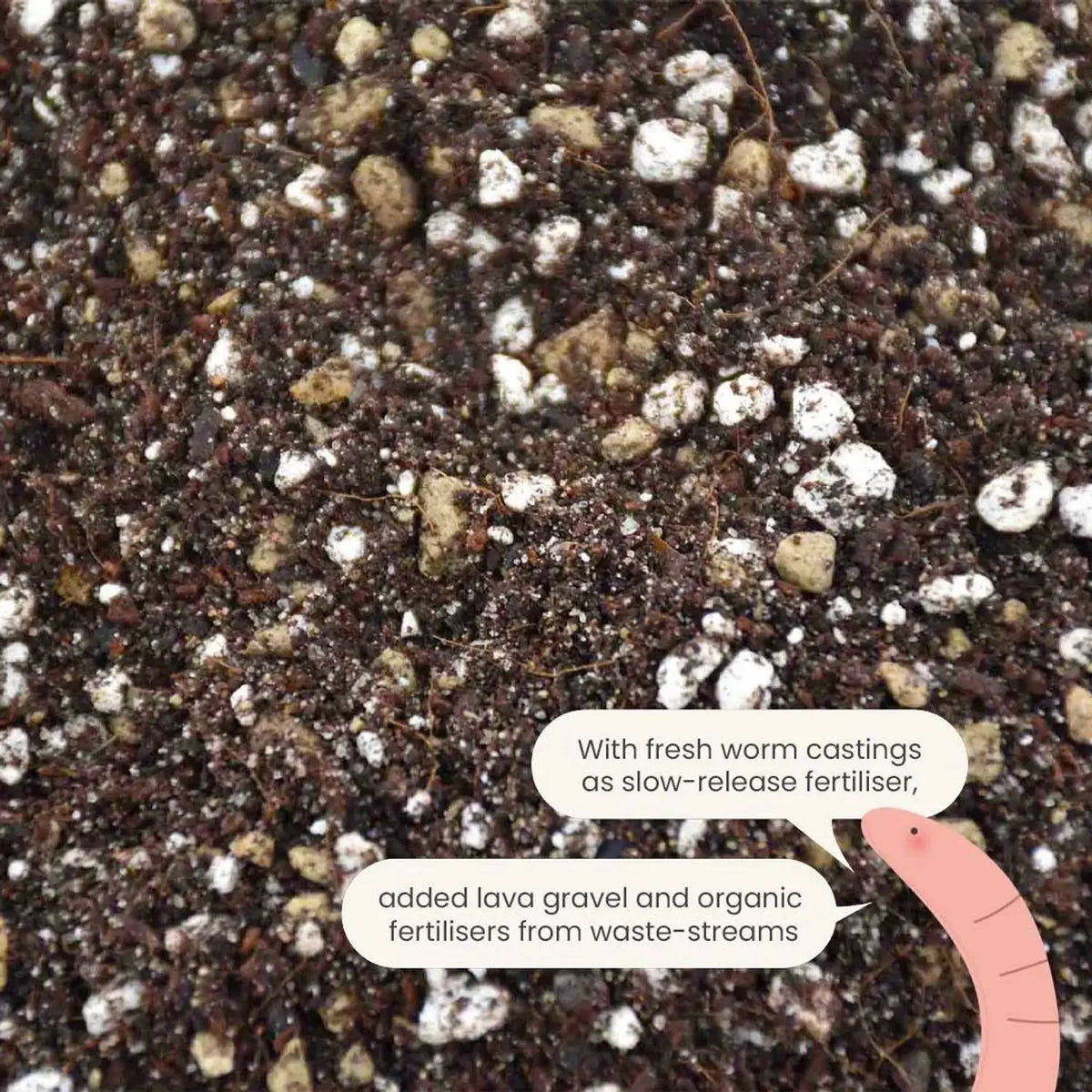 Kakteen- & Sukkulenten-Substratmischung auf weißem Hintergrund, Produktfoto 6.