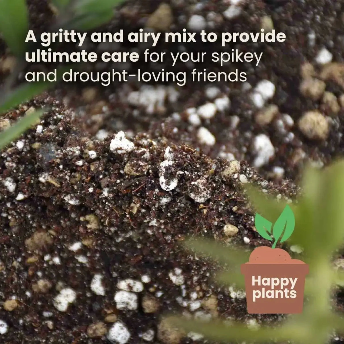 Kakteen- & Sukkulenten-Substratmischung auf weißem Hintergrund, Produktfoto 7.