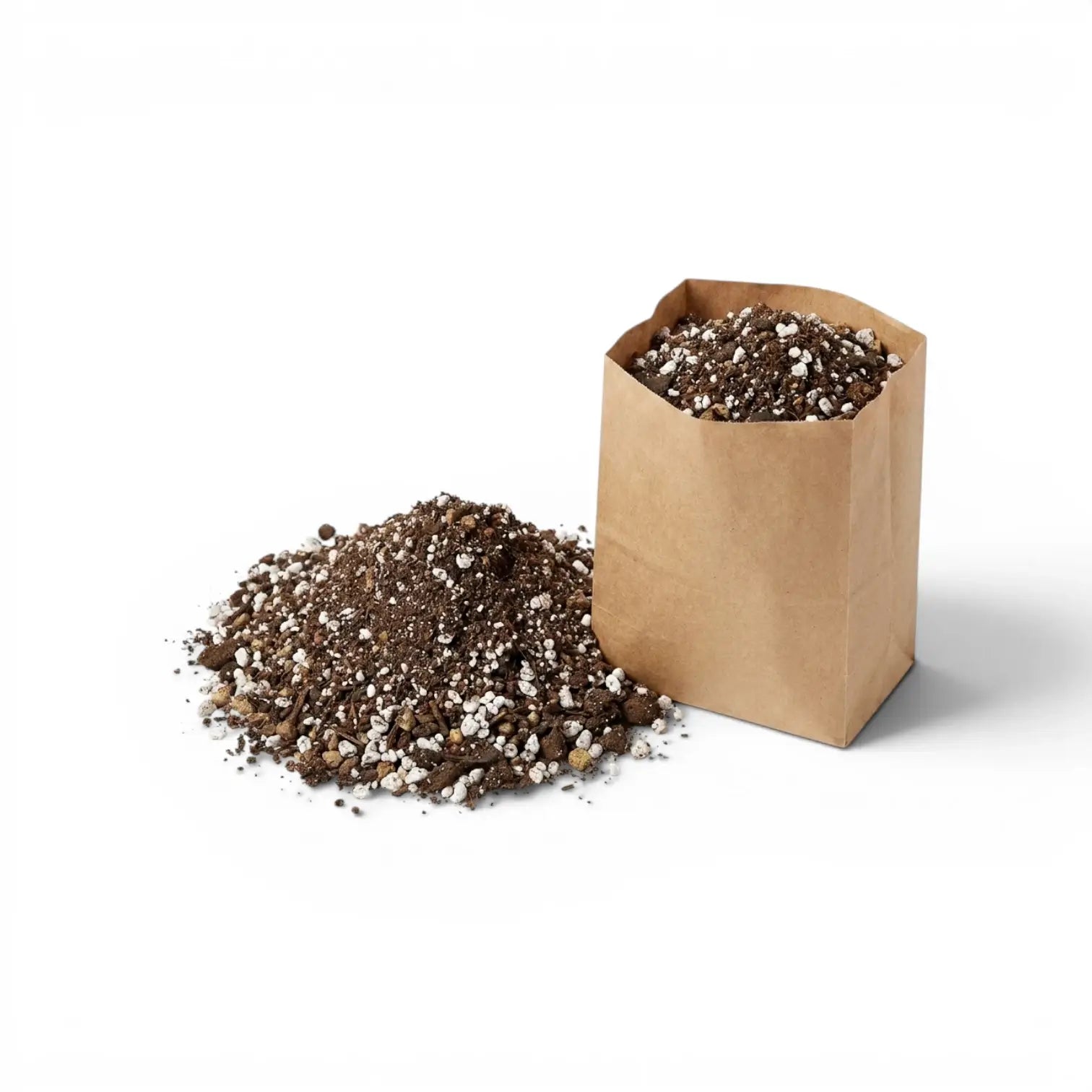 Brown paper bag filled with cacti and succulent potting mix on a white background