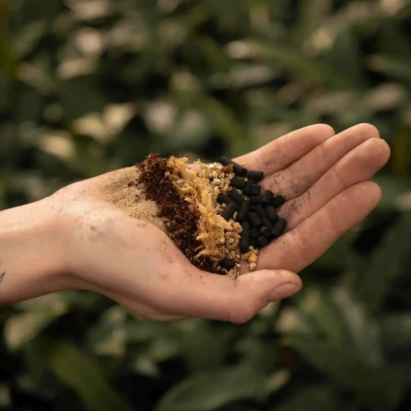 Substratmischung für Karnivoren auf weißem Hintergrund, Produktfoto 2.