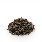 Heap of carnivorous potting mix on a white background