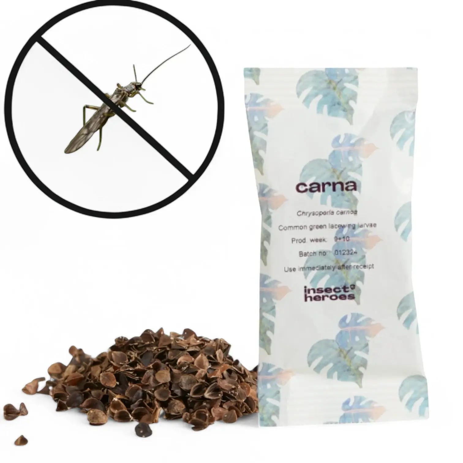 Chrysoperla carnea - against Aphids & Thrips on white background.