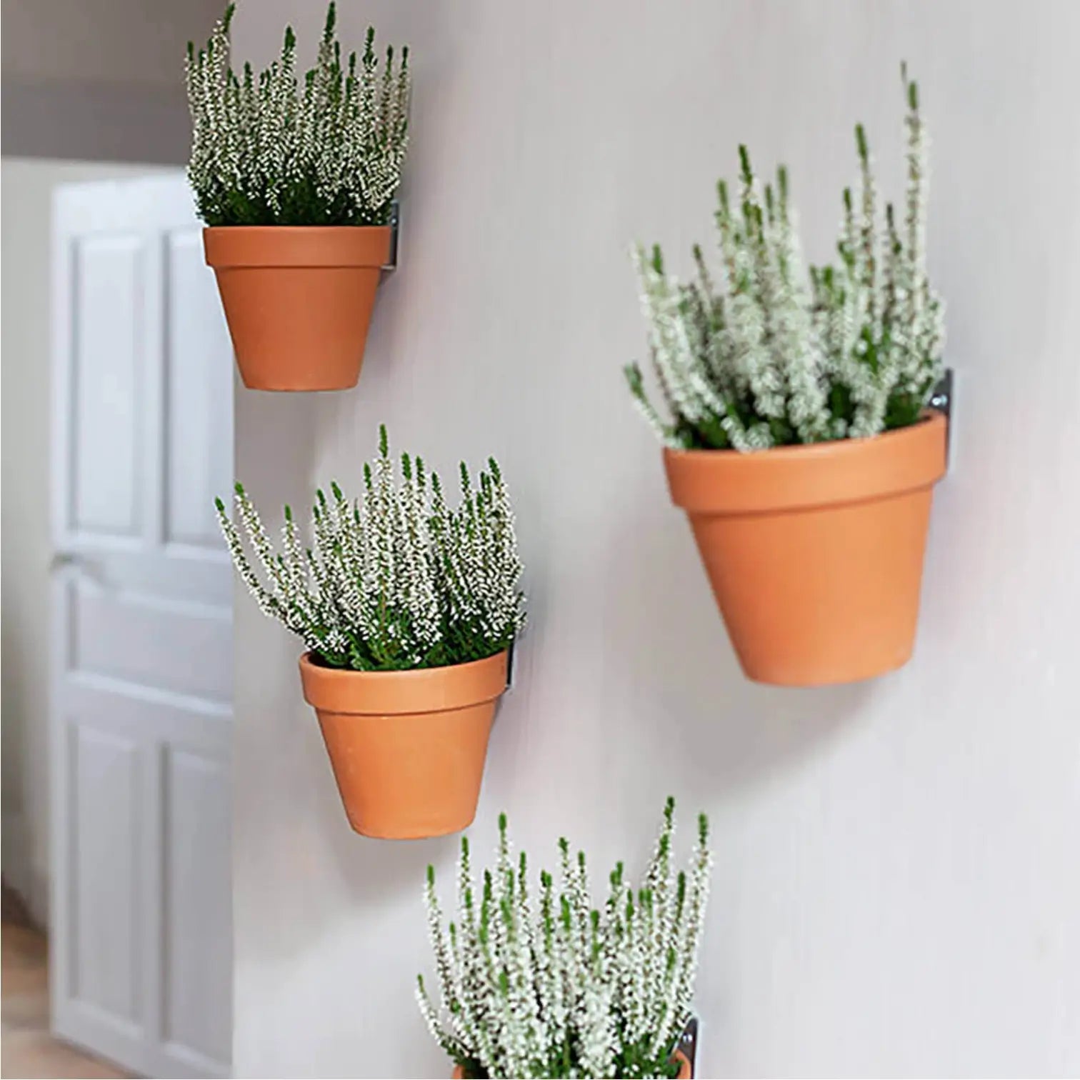 Clippy - Wall mounting Kit for 5 Plant Pots on white background.