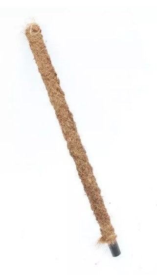 Kokosfaserstäbe (30–150 cm) – Produktfoto auf weißem Hintergrund.