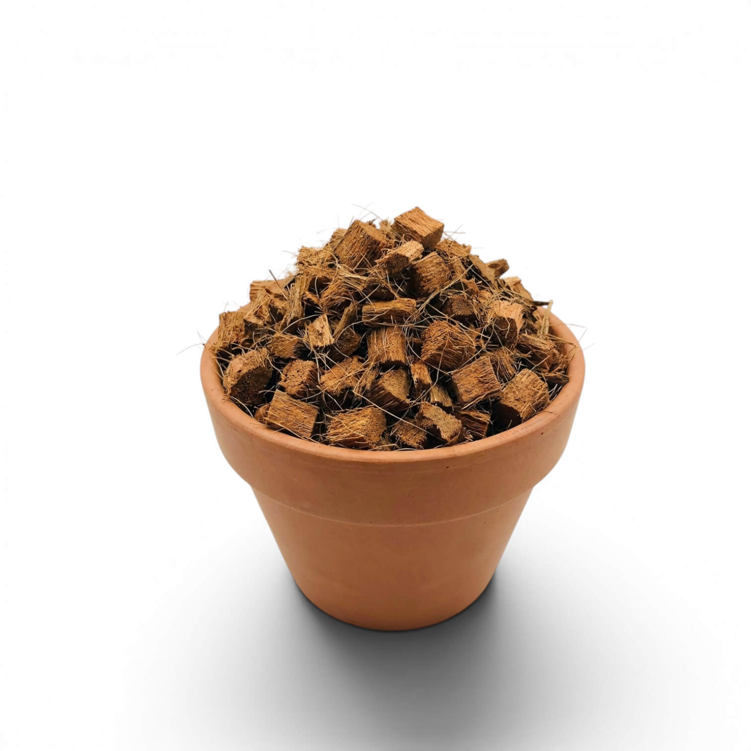 Terracotta pot filled with brown coconut coir chips on a white background
