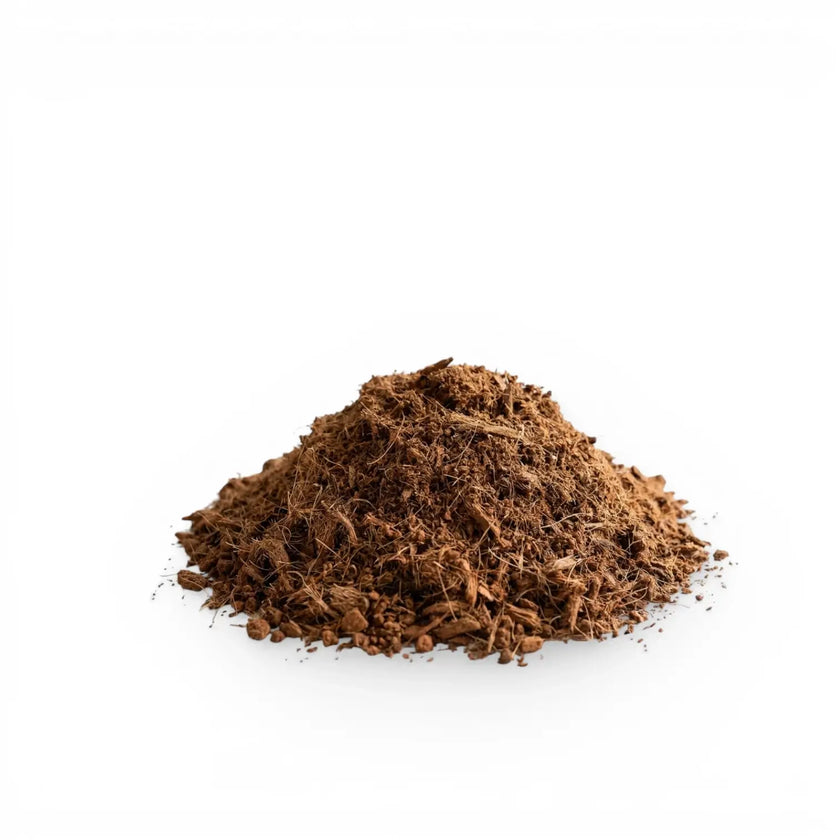 Pile of brown coconut coir on a white background