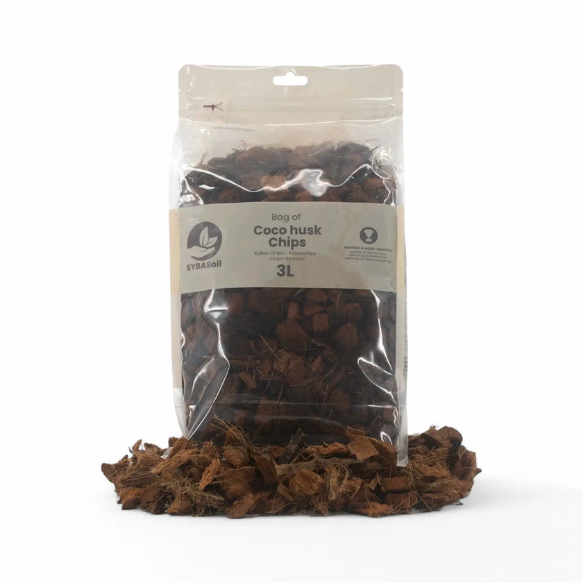 Kokoschips – Haupt-Produktfoto auf weißem Hintergrund.