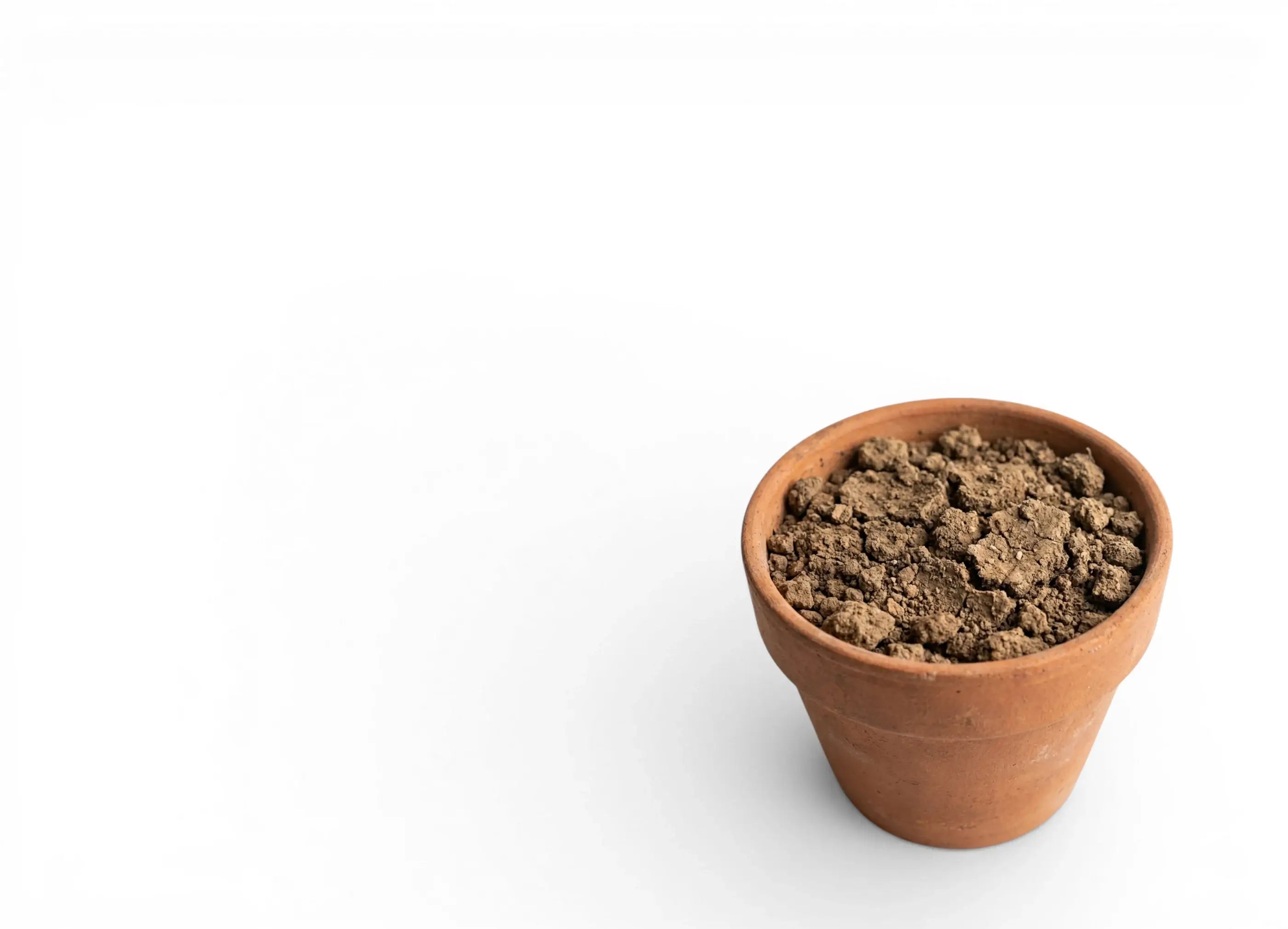 Terracotta pot with very dry soil on a white background