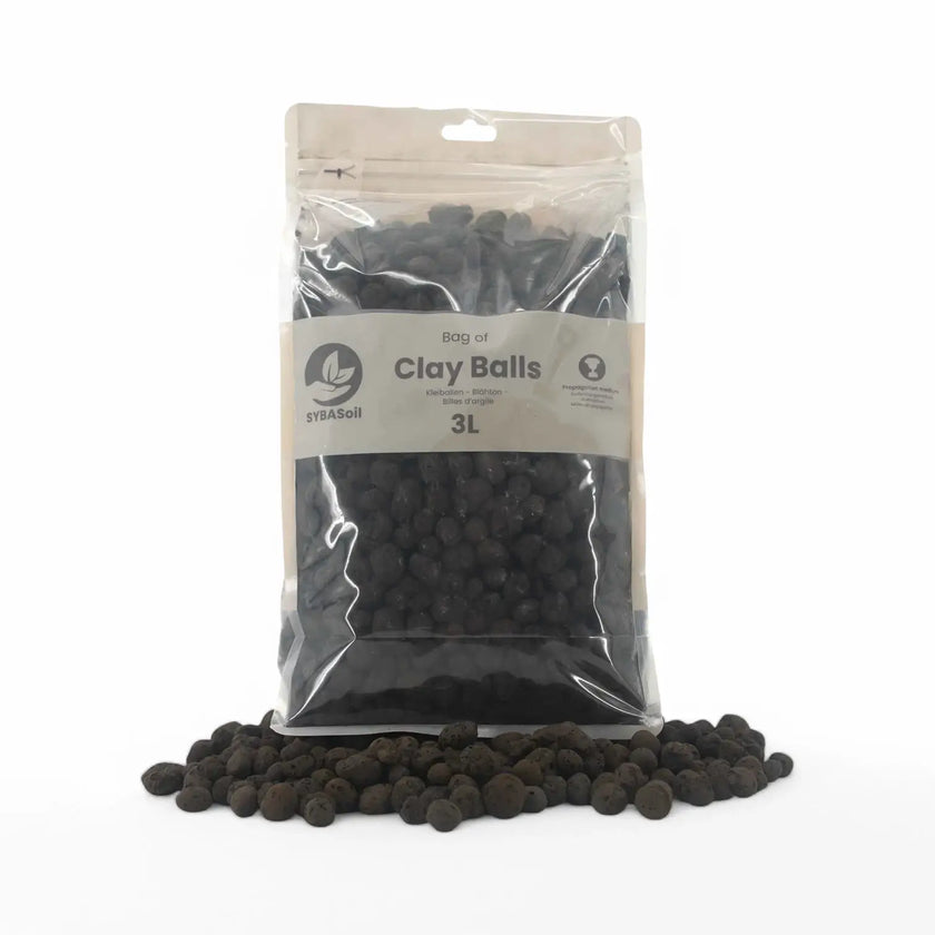 Blähton-Kugeln – Hauptproduktfoto vor weißem Hintergrund.