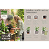 Expanded Clay Balls (LECA) Pokon on white background.