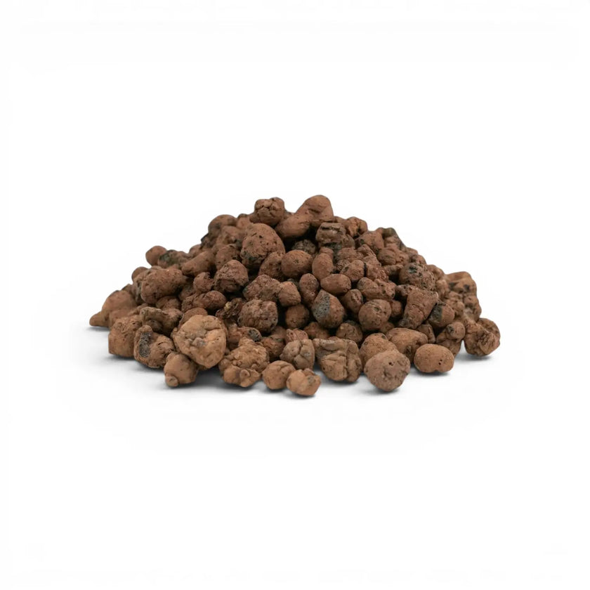 Pile of expanded clay pebbles on a white background