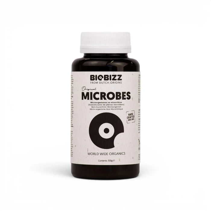 Biobizz Microbes