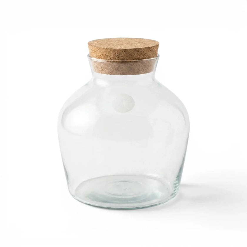 Clear glass jar Dean with a cork lid on a white background