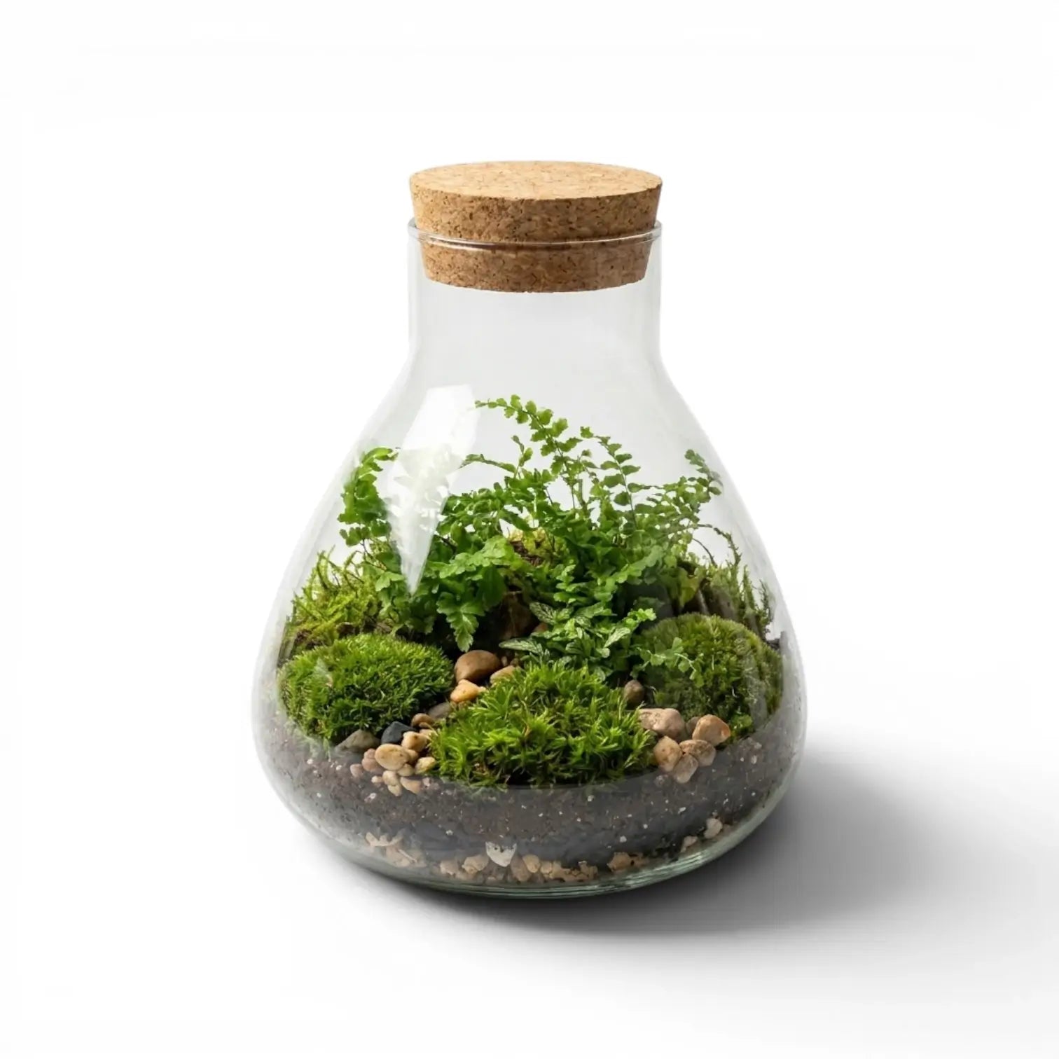 Glas-Terrarium Pyramide mit Pflanzen und Korkdeckel auf weißem Hintergrund