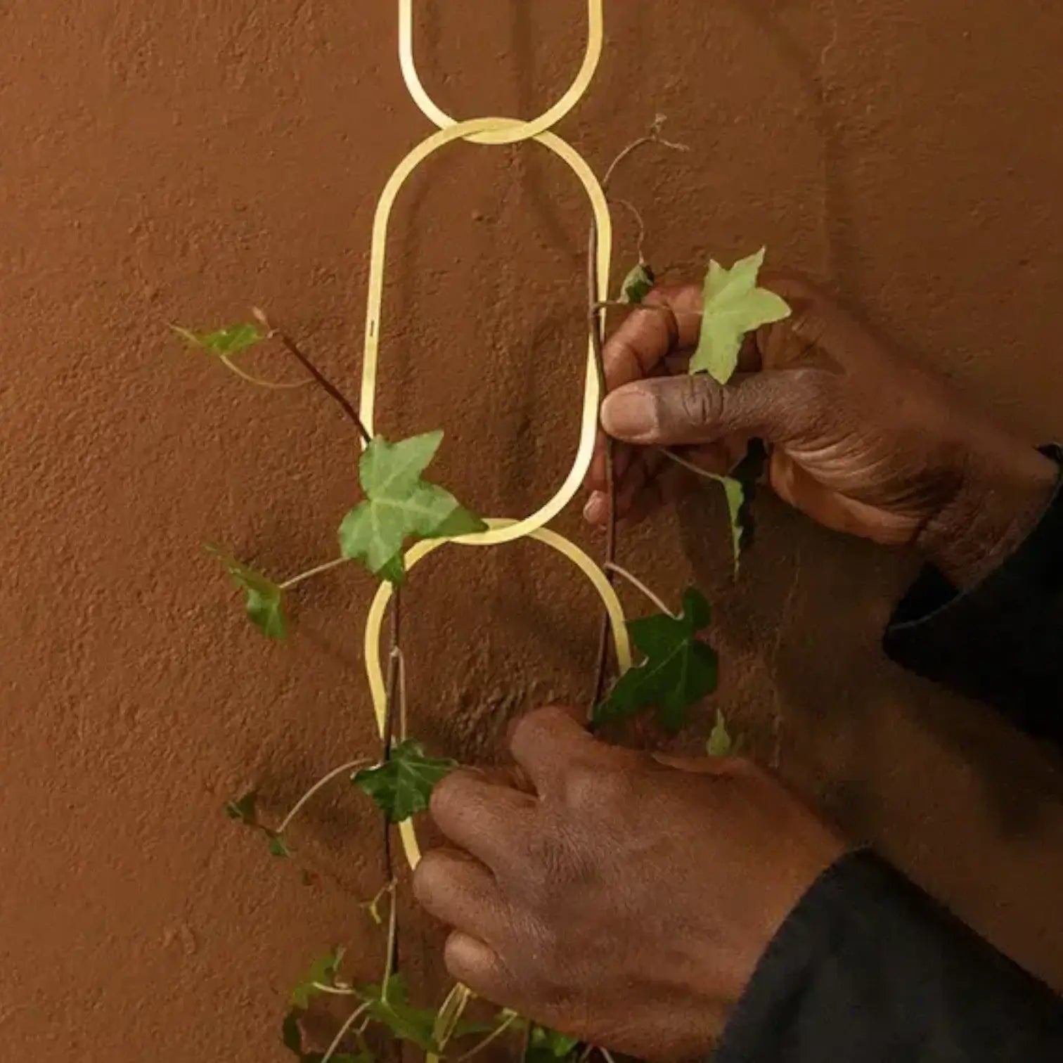 Golden Brass Chain – Plant Support for climbing plants Hauptproduktfoto vor weißem Hintergrund.