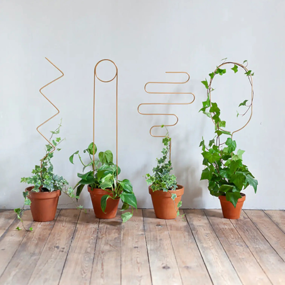 Golden Plant Stakes  Modern Trellis Support