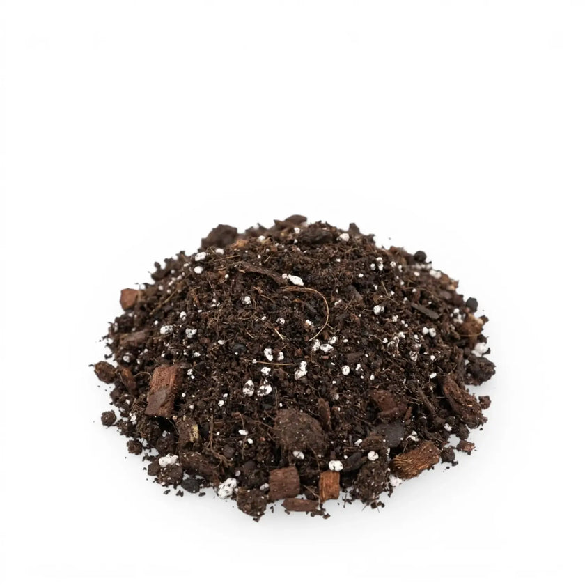 Heap of Hoya potting mix on a white background