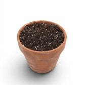 Terracotta pot with Hoya potting mix on a white background