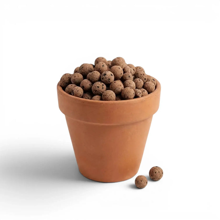 Terracotta pot filled with expanded clay balls (leca) on a white background