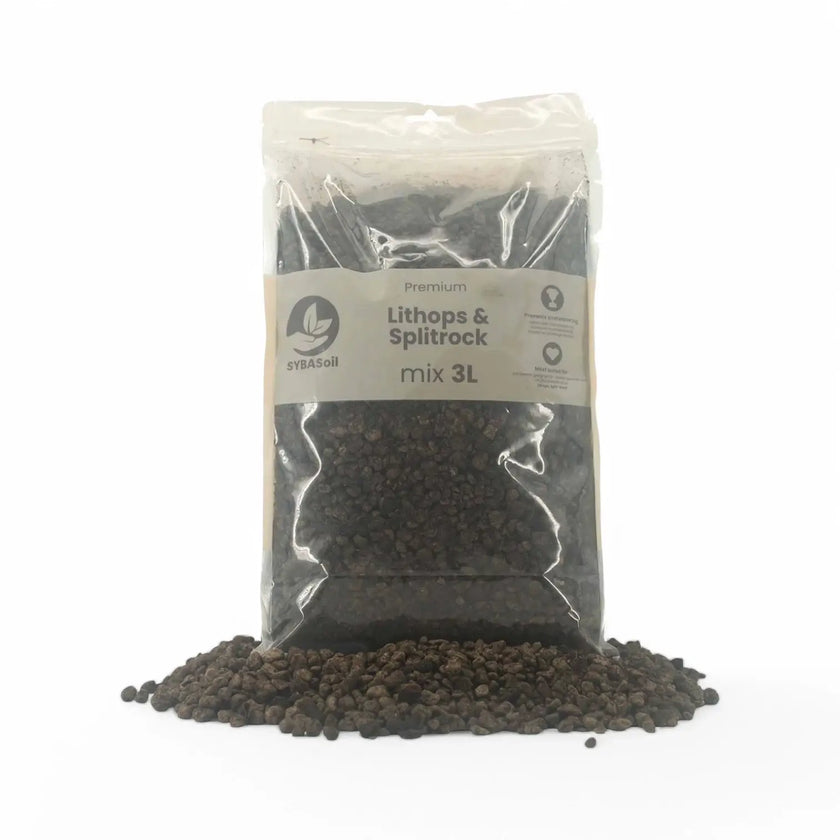 Lithops- & Split-Rock-Substratmischung – Haupt-Produktfoto auf weißem Hintergrund.