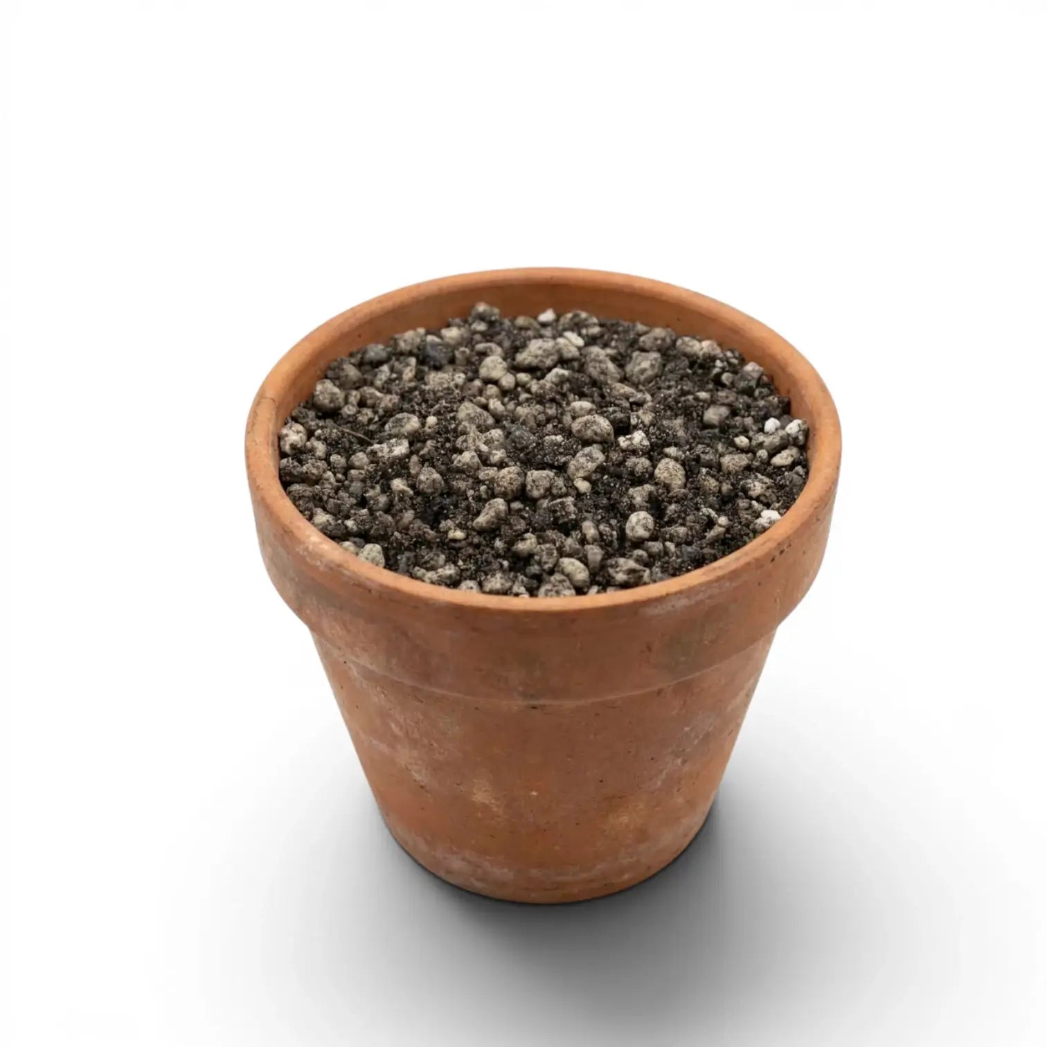 Terracotta pot with lithops potting mix on a white background