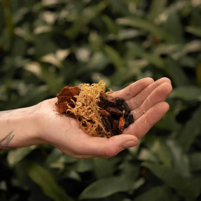 Orchideen-Substratmischung auf weißem Hintergrund, Produktfoto 2.