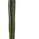 Nahaufnahme eines Sprosses von Pachycereus marginatus vor weißem Hintergrund.