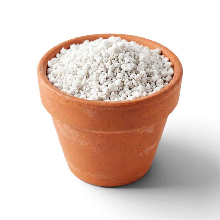 Terracotta pot filled with perlite on a white background