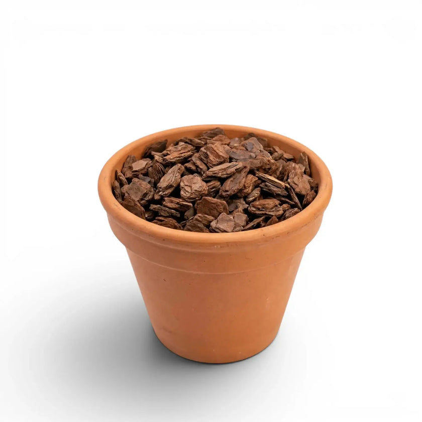 Terracotta pot filled with pine bark chips on a white background