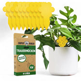 Plant Fly Trap - Klebefallen gegen Trauermücken vor weißem Hintergrund, Produktfoto 2.