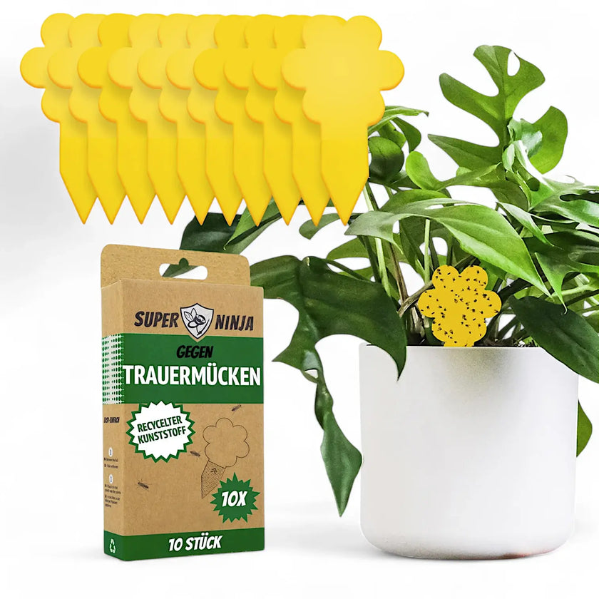 Plant Fly Trap - Klebefallen gegen Trauermücken vor weißem Hintergrund, Produktfoto 2.