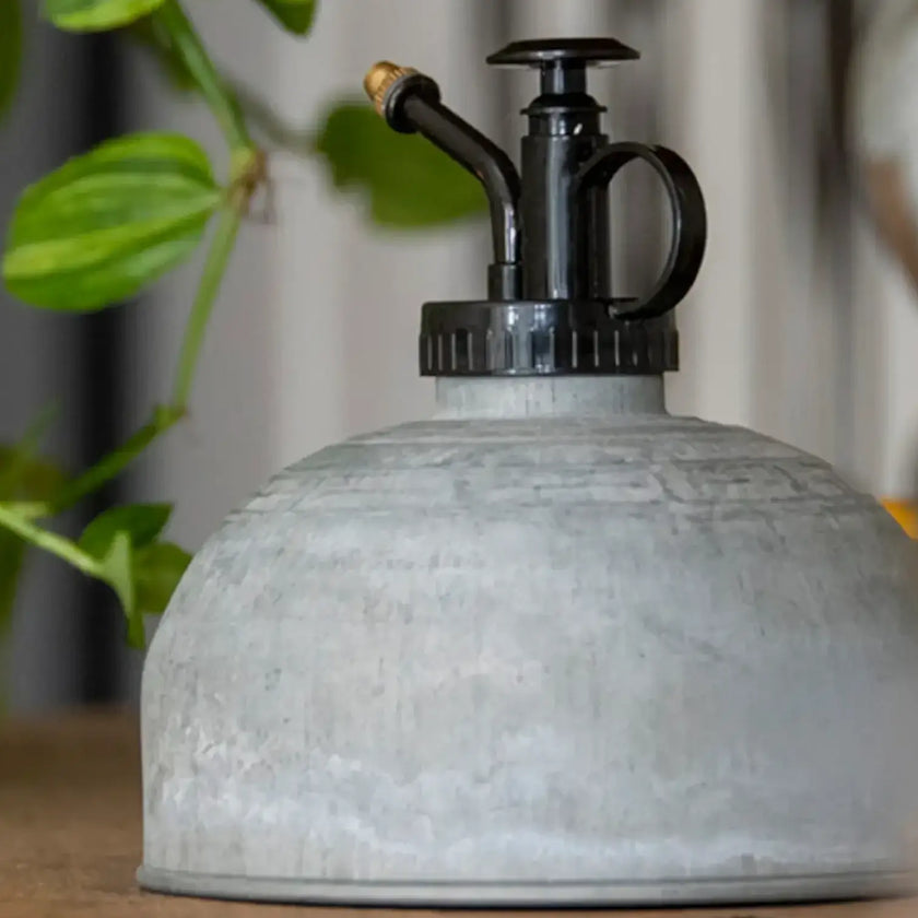 Plant mister 'Oz' on white background.