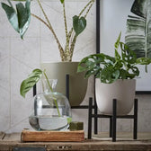 Plant stand 'Ascot' on white background.