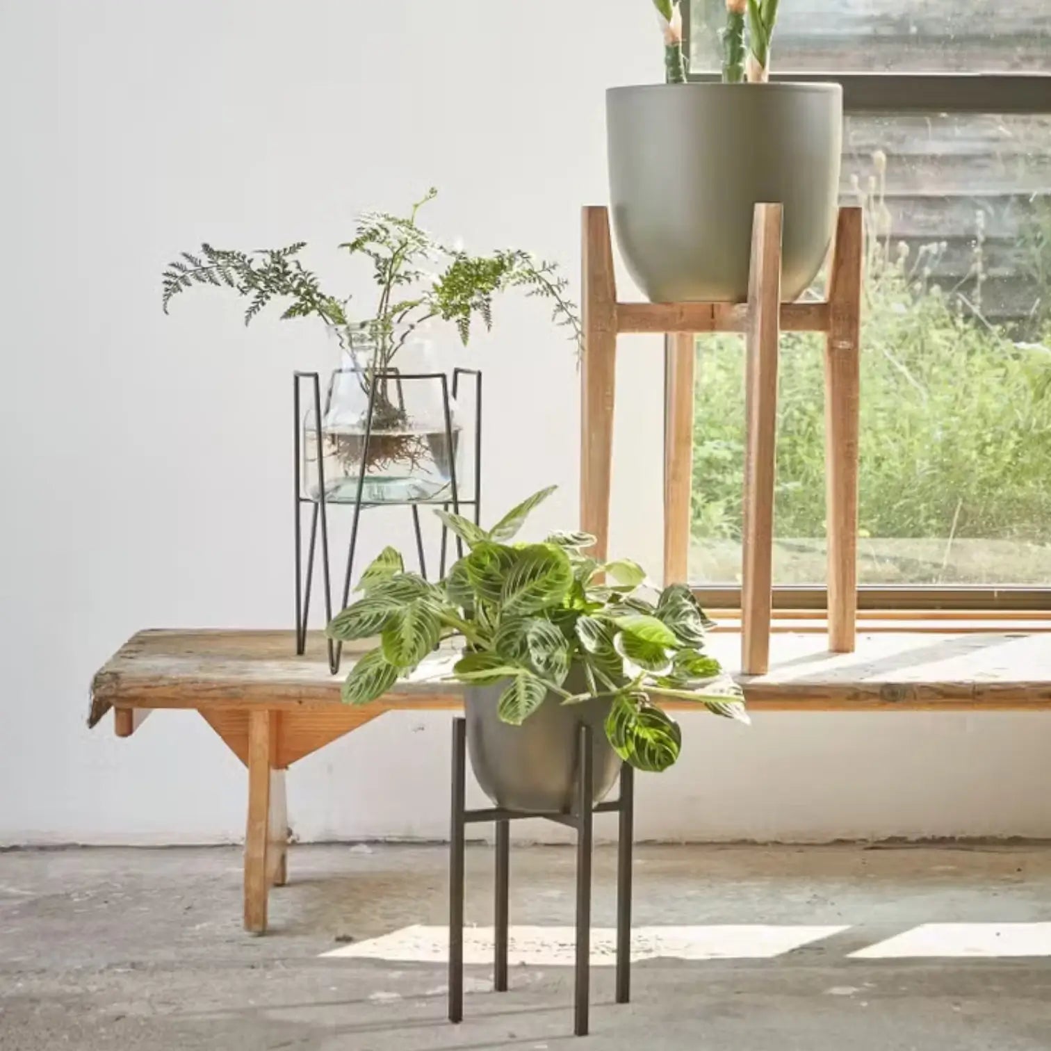 Plant stand 'Ascot' on white background.