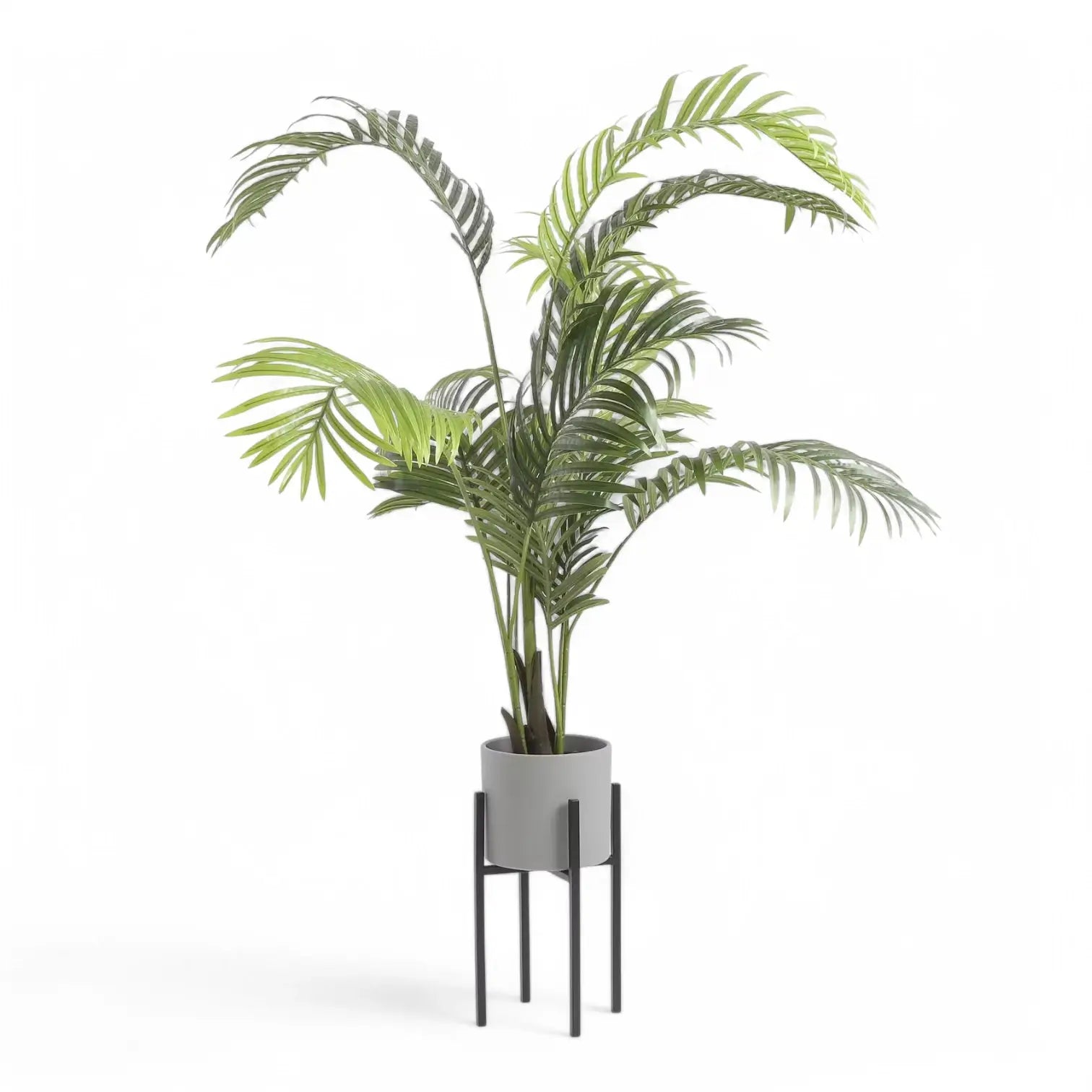 Plant stand 'Ascot' on white background.