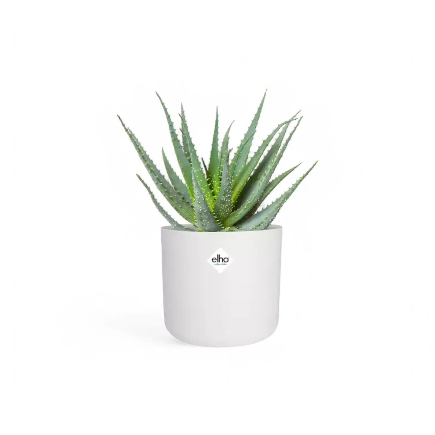 Übertopf 'b.for soft round' vor weißem Hintergrund, Produktfoto 5.
