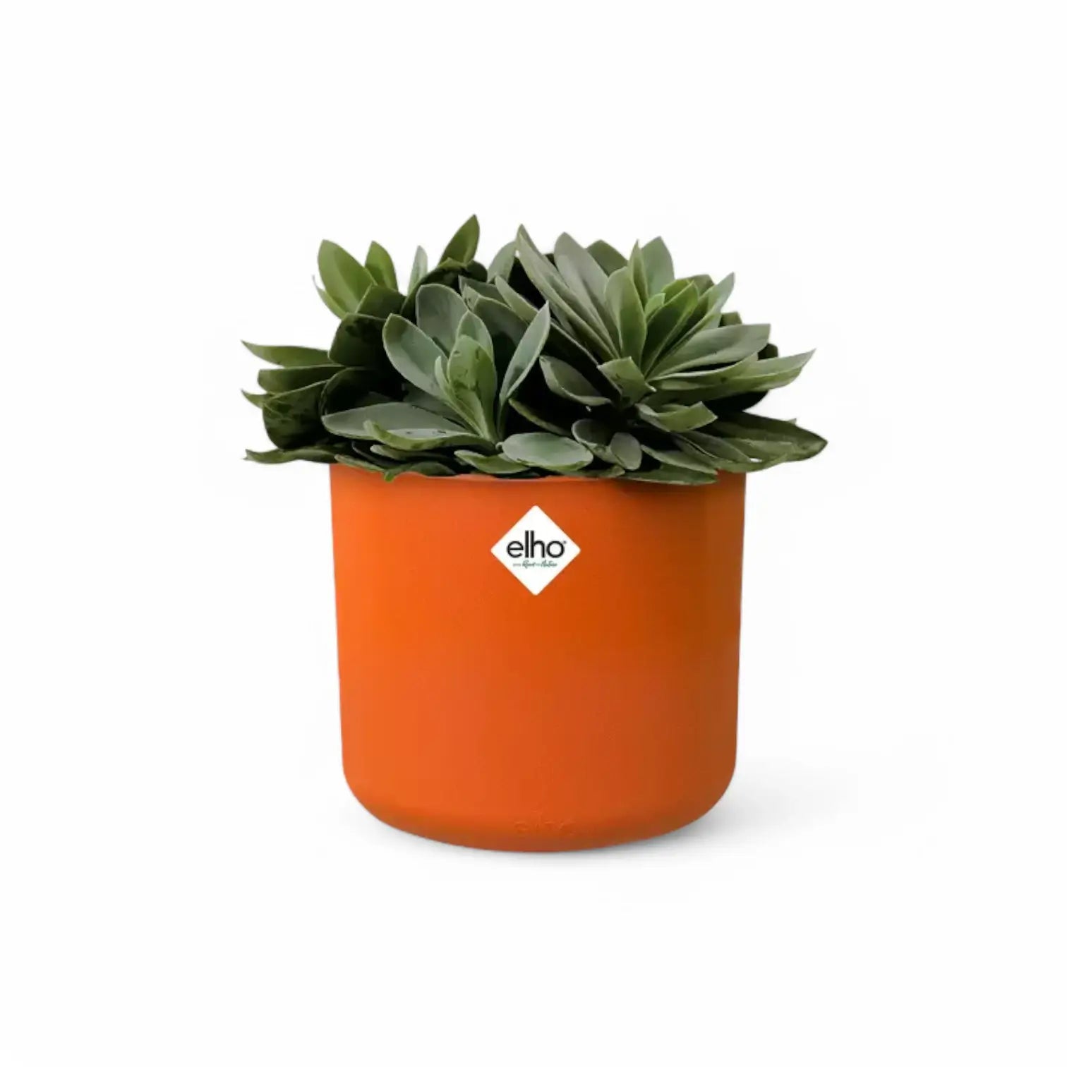 Übertopf 'b.for soft round' vor weißem Hintergrund, Produktfoto 7.