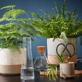 Planter 'Lago' on white background.