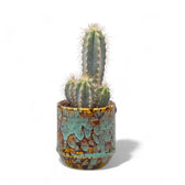 Planter 'Noud Marrakesh' on white background.